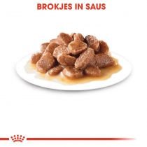 Royal canin instinctive in saus 12x85gr