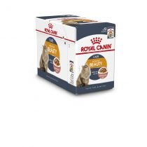 Royal canin intense beauty in saus 12x85gr