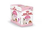 Royal-canin-kitten-in-saus-12x85gr